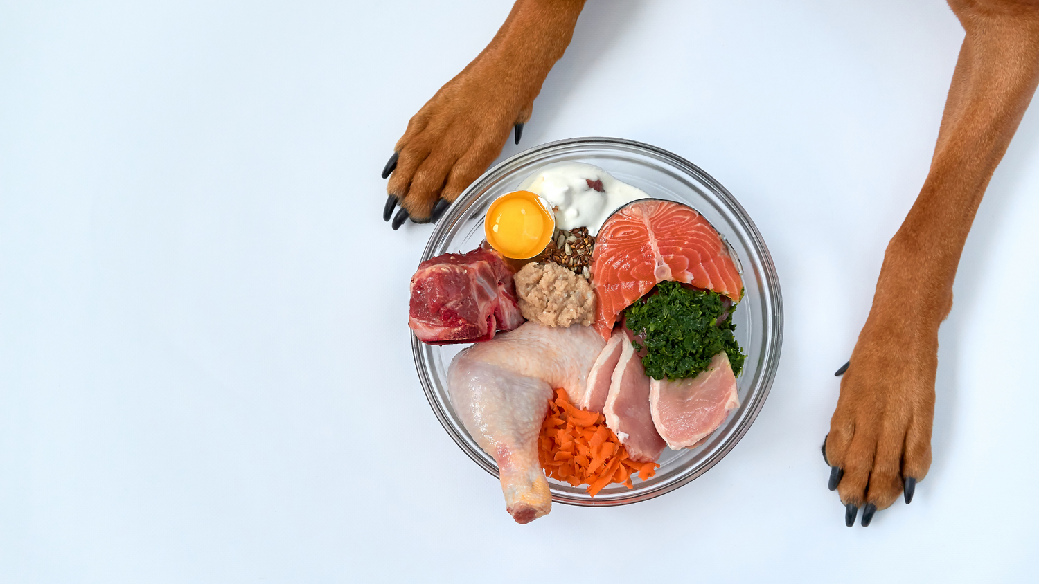 How A Fresh Diet Can Impact Your Pet’s Overall Health