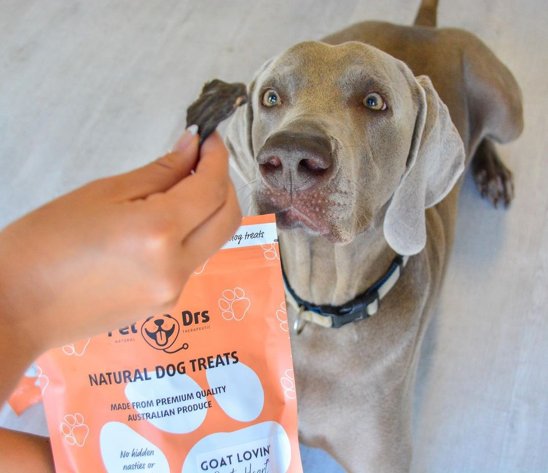 Food Allergies: Ease Your Dog’s Discomfort – Pet Drs
