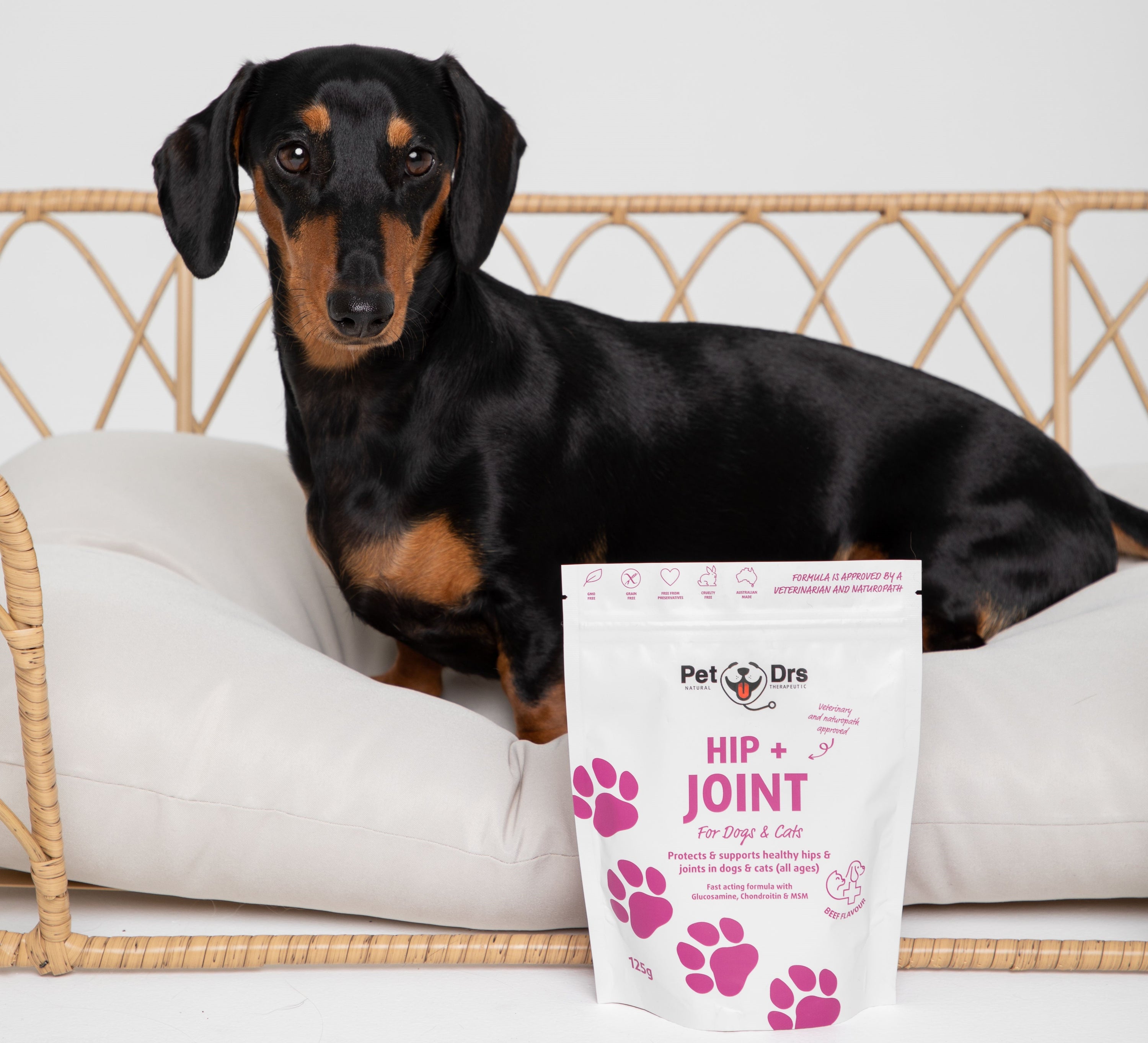 How To Care For Your Dog's Hip & Joints