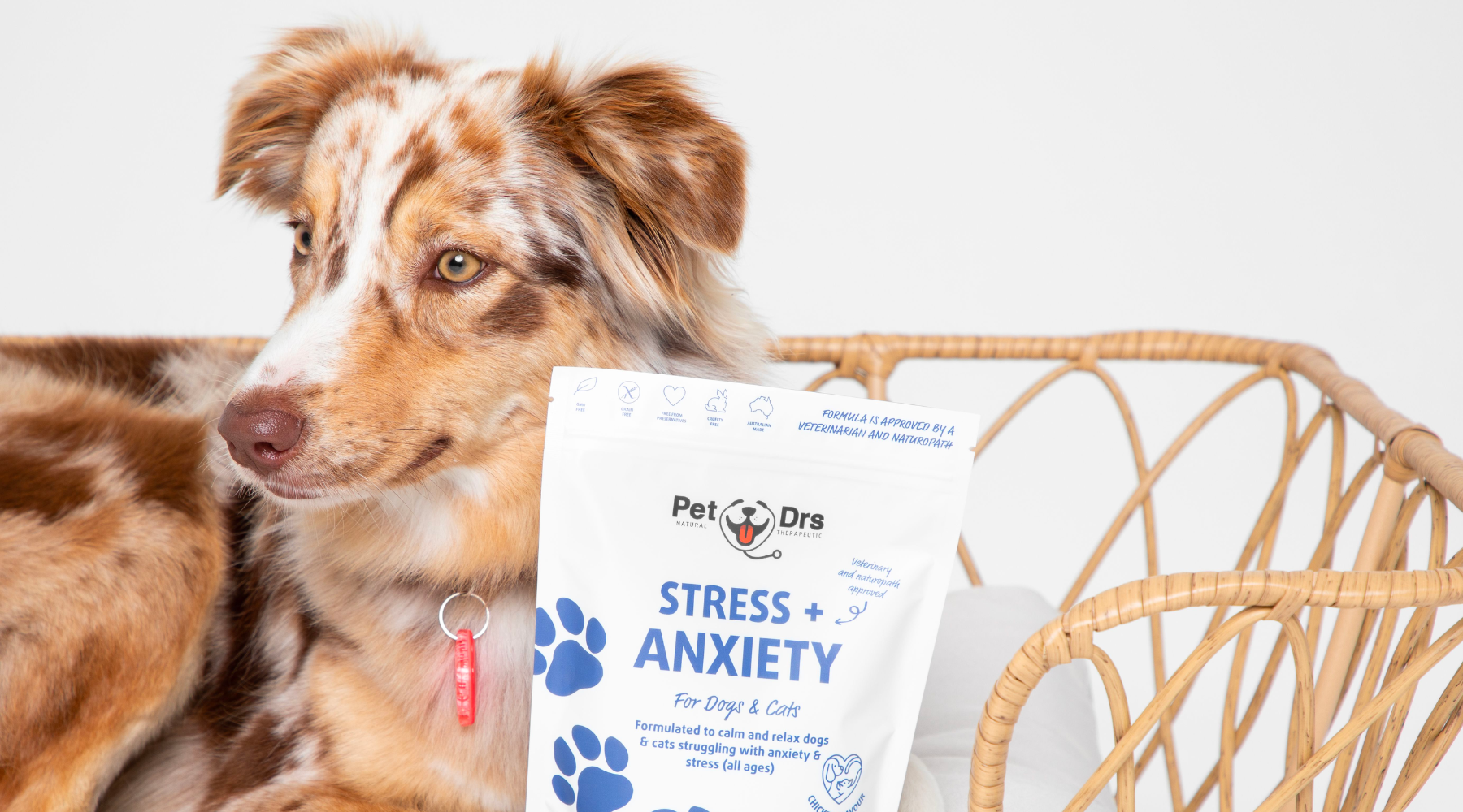 Does my pet need a calming supplement?