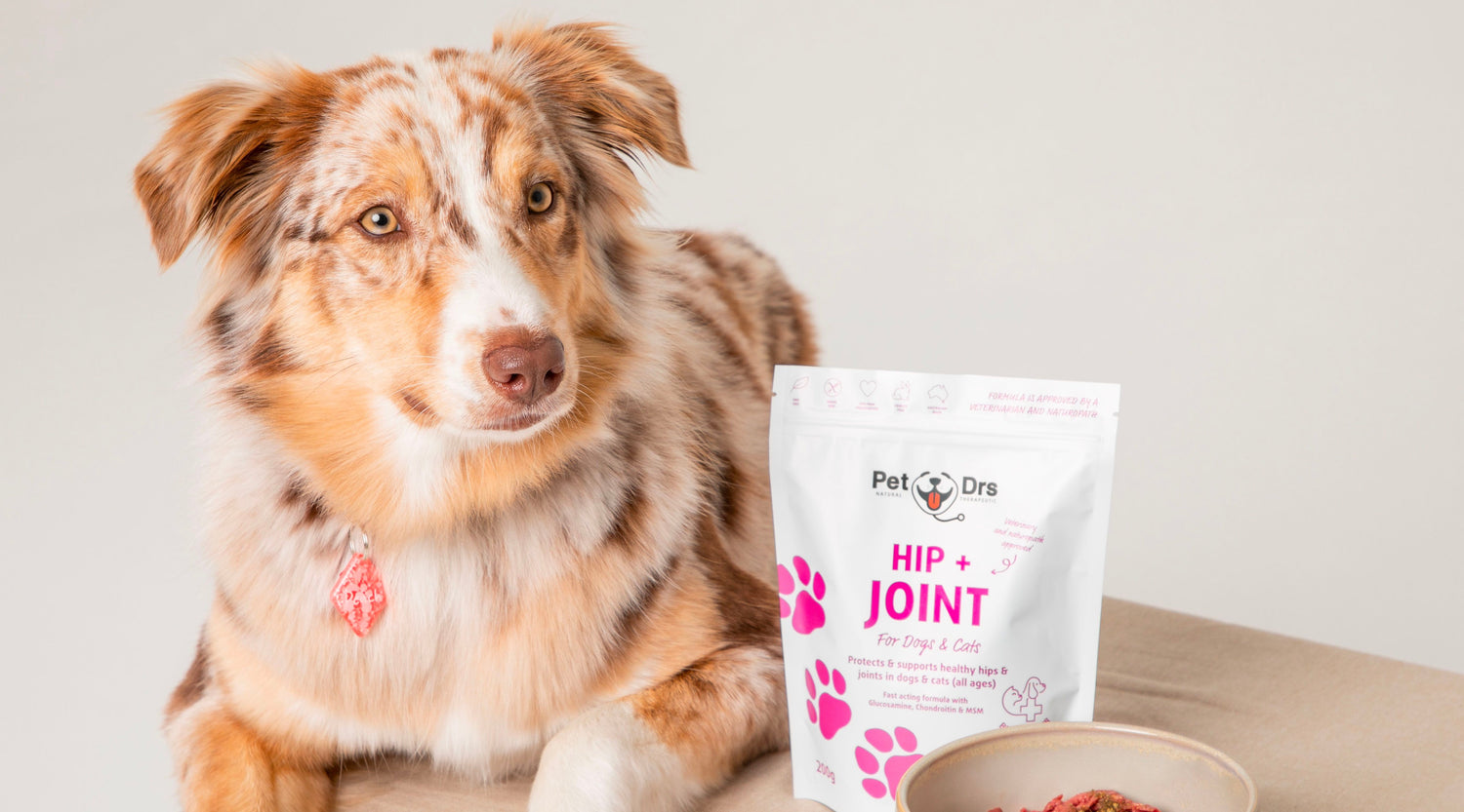 Preventing Hip and Joint Issues In Dogs