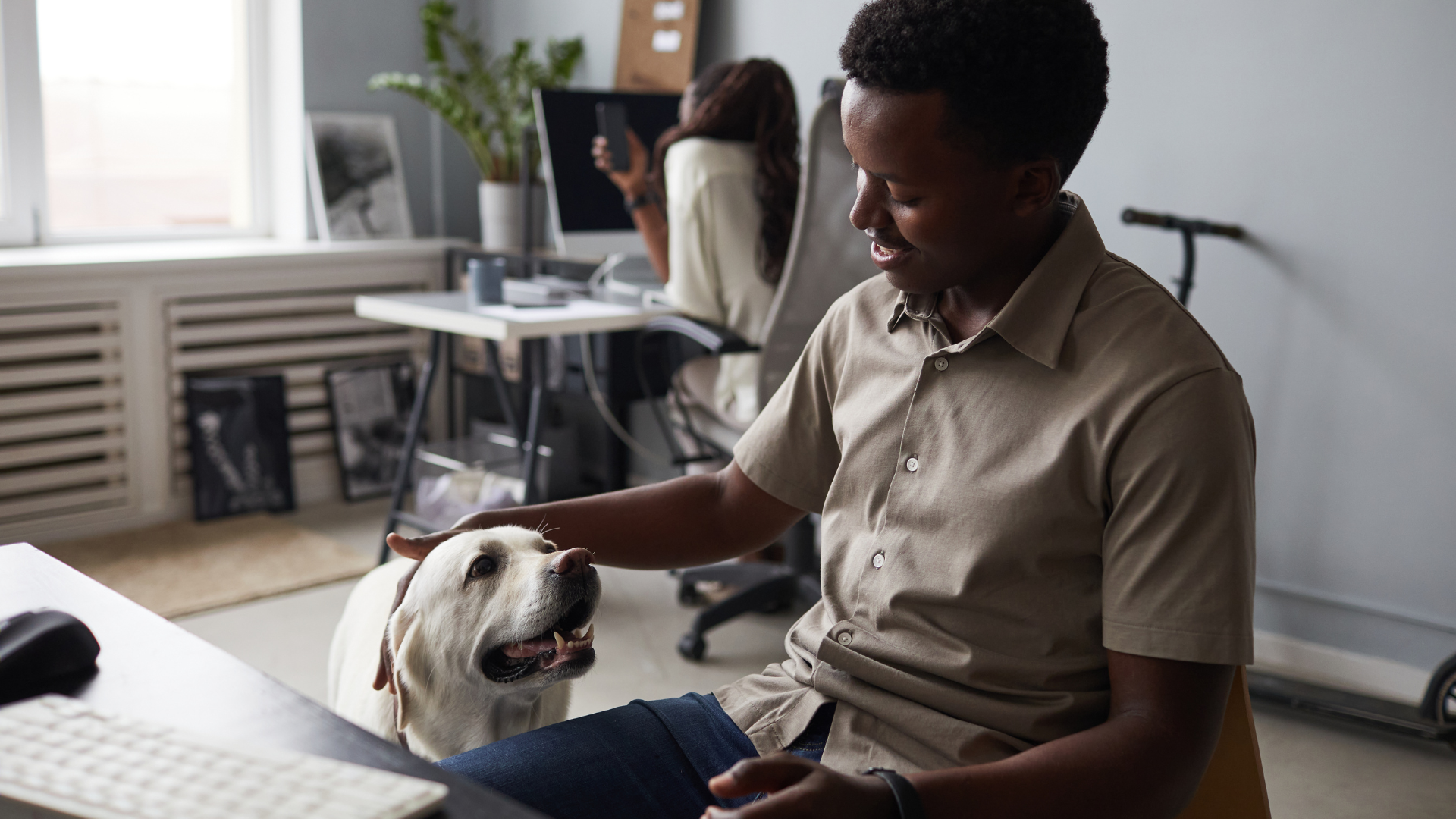Why Dog Friendly Offices Rule