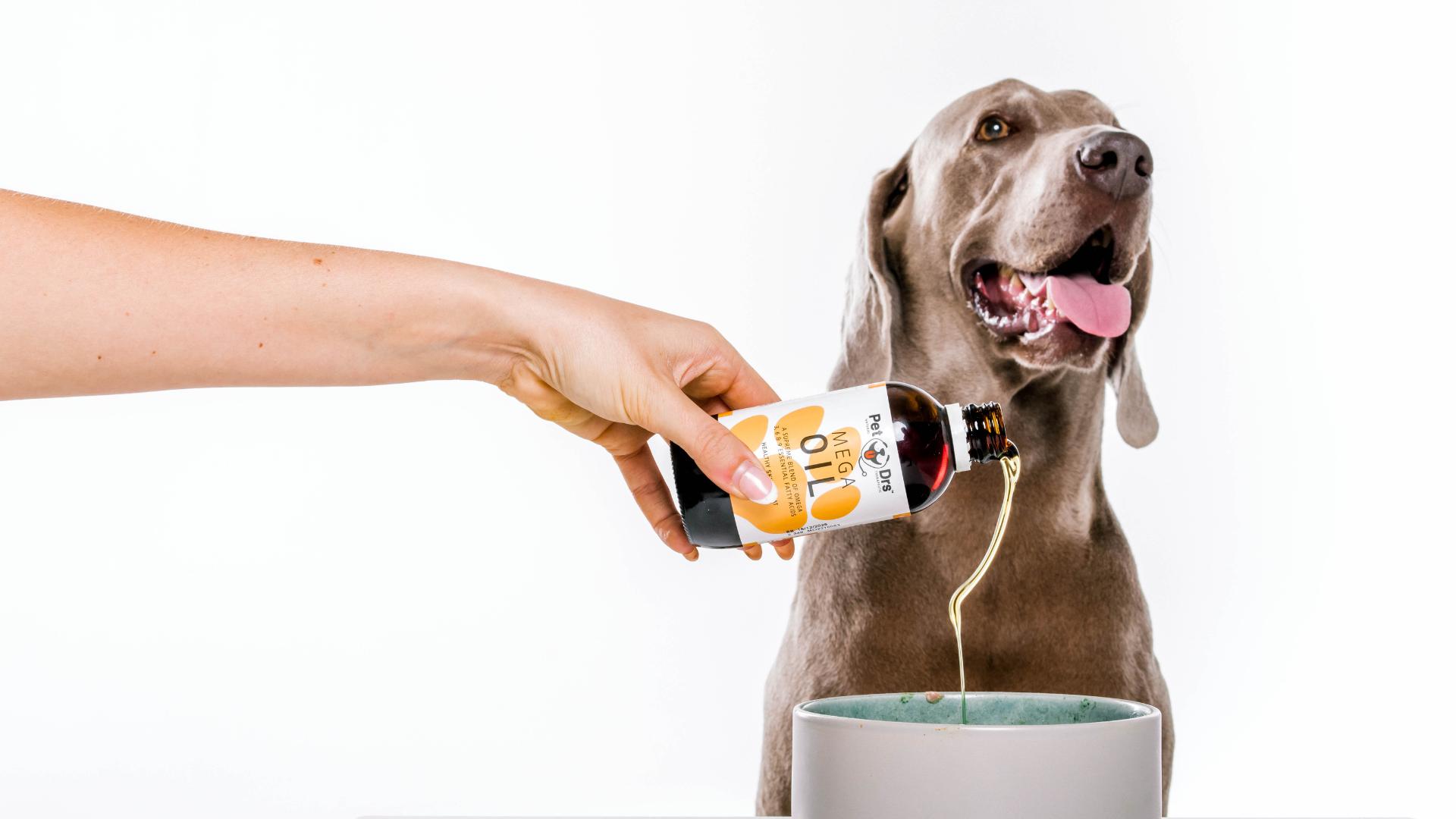 Does Your Dog Need an Essential Fatty Acid Supplement?
