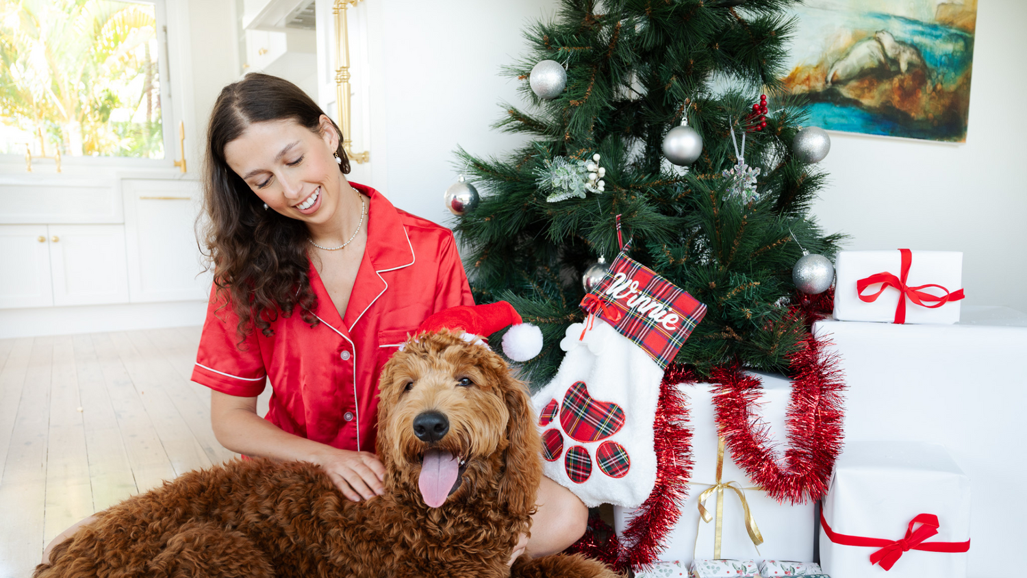 Christmas Stocking Stuffers For Your Pet