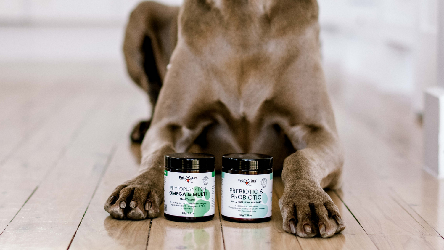 Two Must Have Supplements for your Dog!