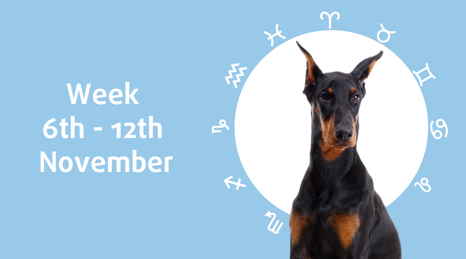 Weekly Dog Horoscope (6th - 12th November)   - copy