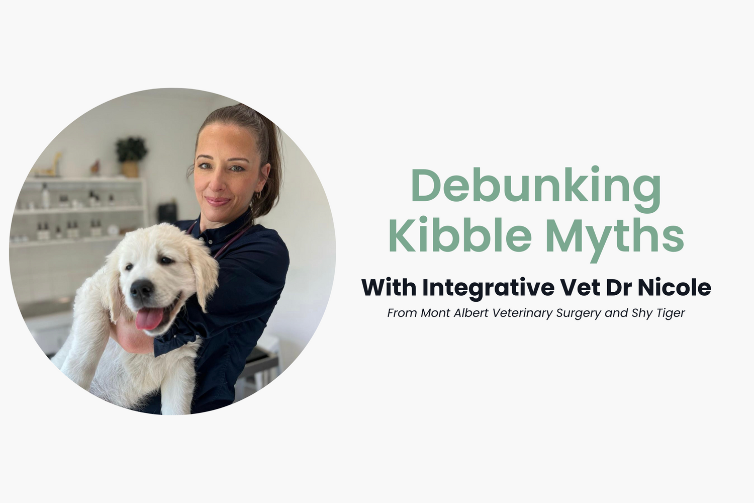 An Interview with Integrative Vet Dr. Nicole on Kibble Misconceptions and Transitioning to a Fresher Diet for Dogs