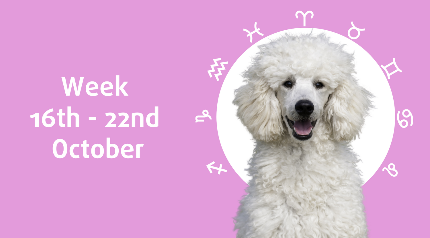 Weekly Dog Horoscope 16-22October