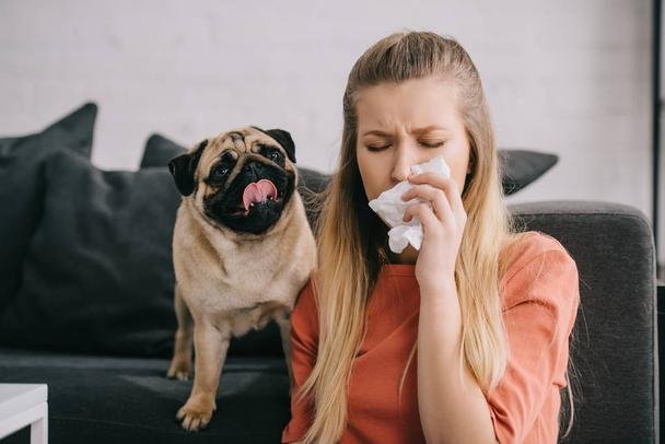 Best Dog Breeds for Allergy Sufferers